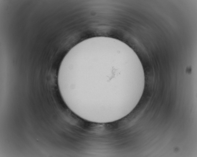 X0000101210083200807251058