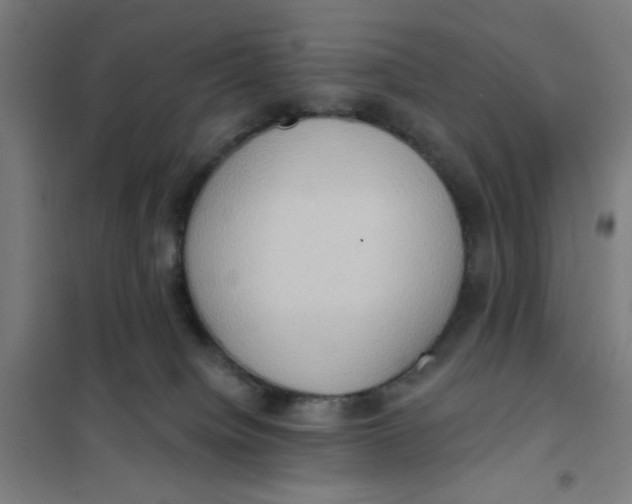 X0000101210084200807251058