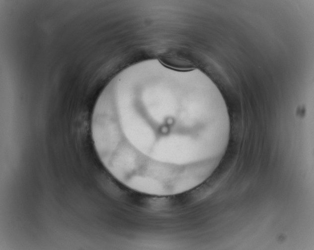 X0000101210085200807251058