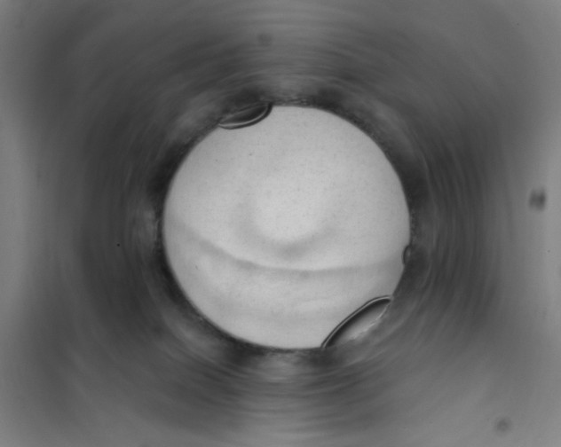 X0000101210086200807251058