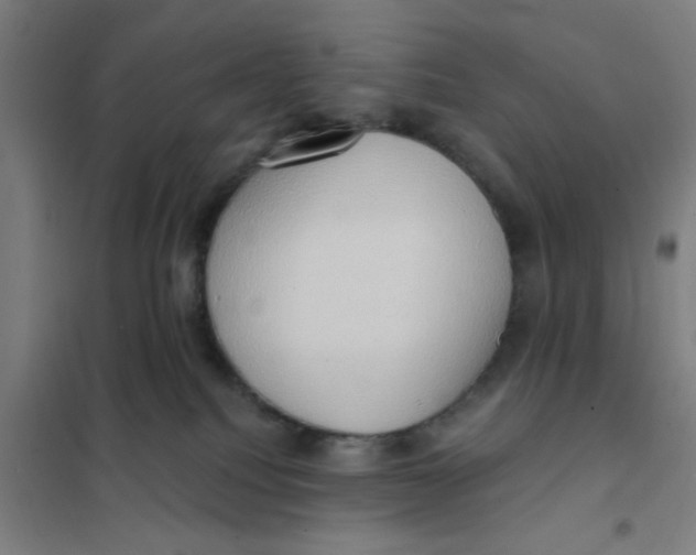 X0000101210088200807251058