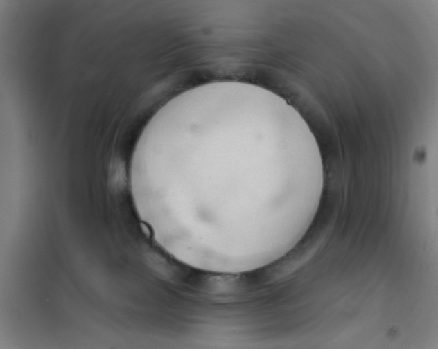 X0000101210089200807251058