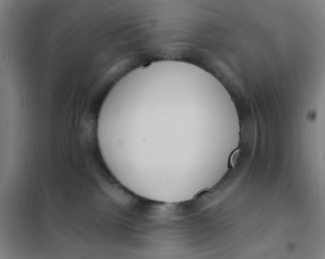 X0000101210092200807251058