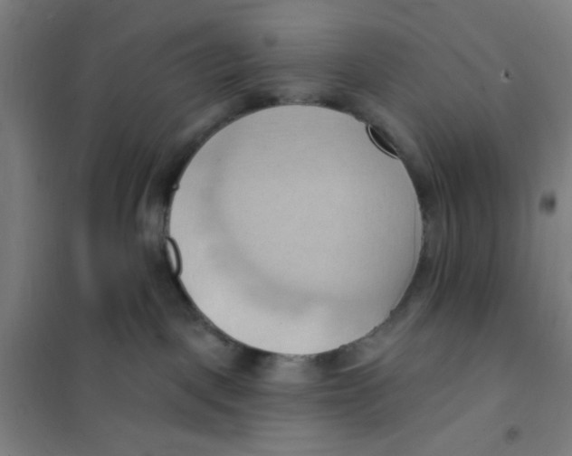 X0000101210093200807251058