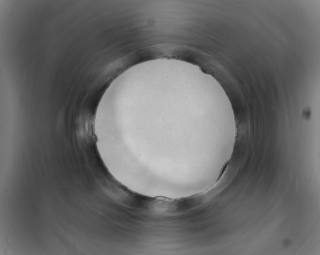 X0000101210094200807251058