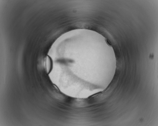 X0000101210095200807251058