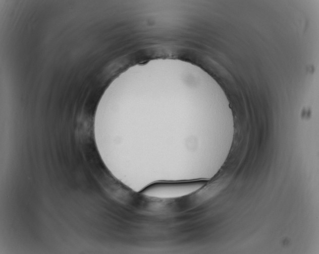 X0000101210096200807251058