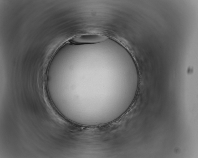 X0000101210097200807251058