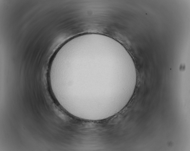 X0000101210098200807251058