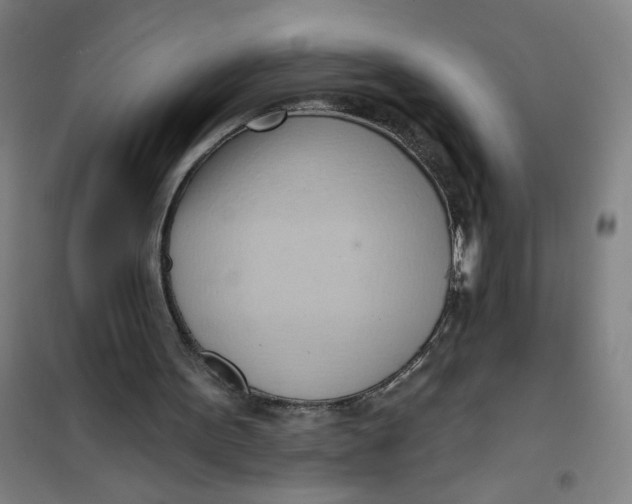 X0000101210099200807251058