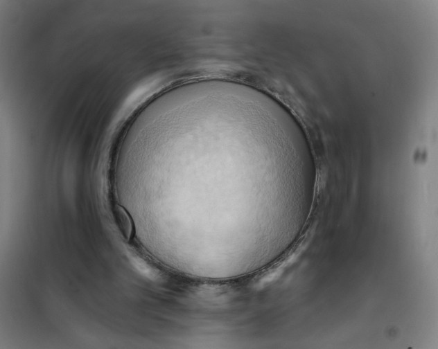 X0000101210101200807251058