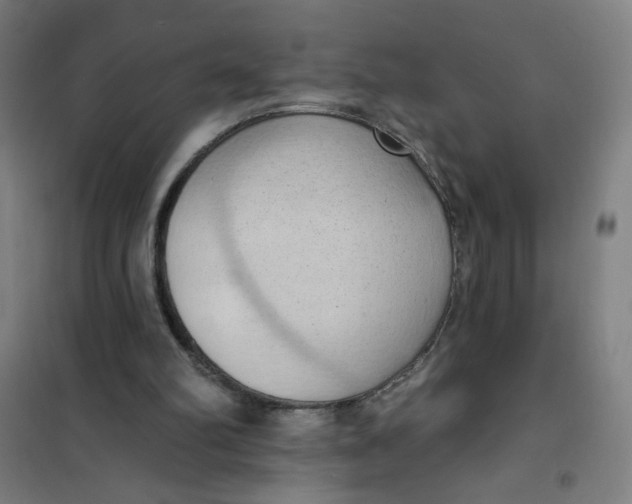 X0000101210102200807251058