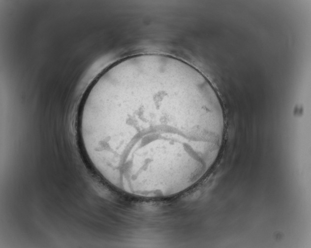 X0000101210103200807251058