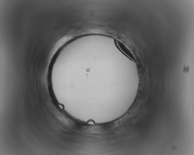 X0000101210104200807251058