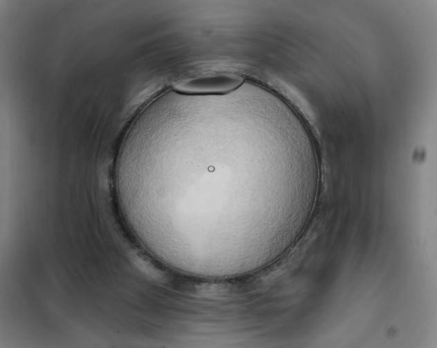 X0000101210105200807251058