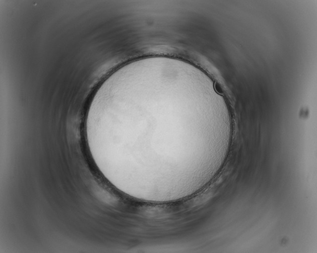 X0000101210106200807251058