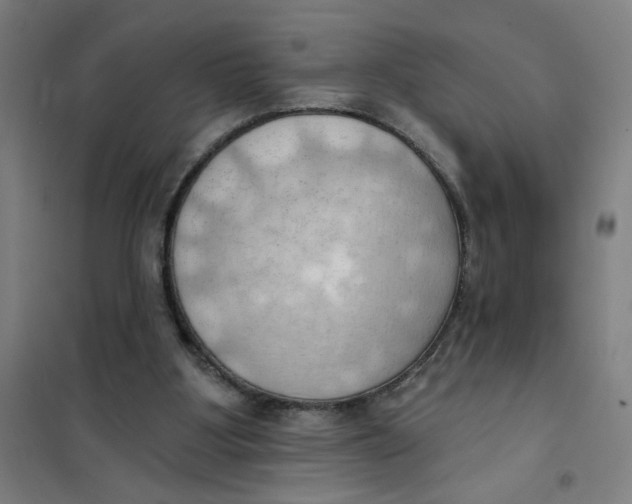 X0000101210107200807251058