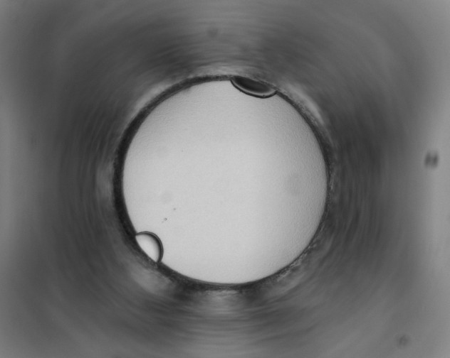 X0000101210108200807251058