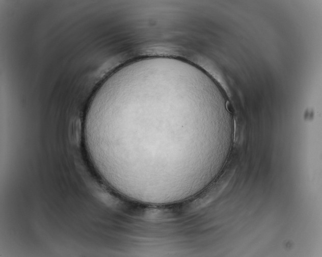 X0000101210109200807251057