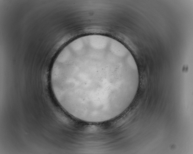 X0000101210111200807251057