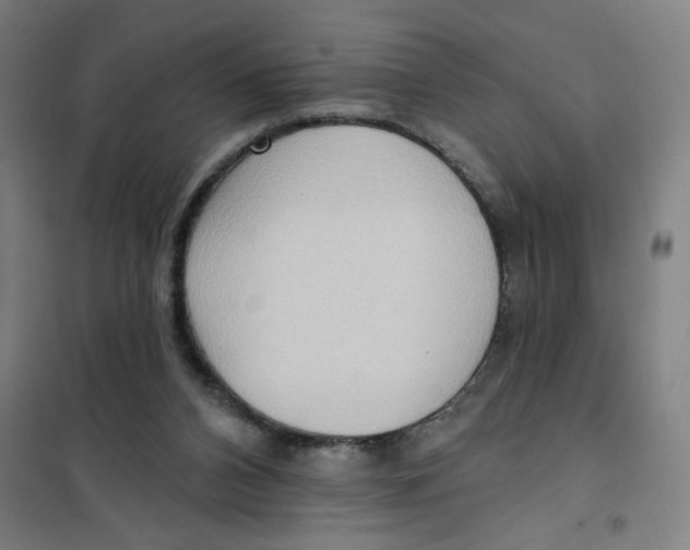 X0000101210112200807251057