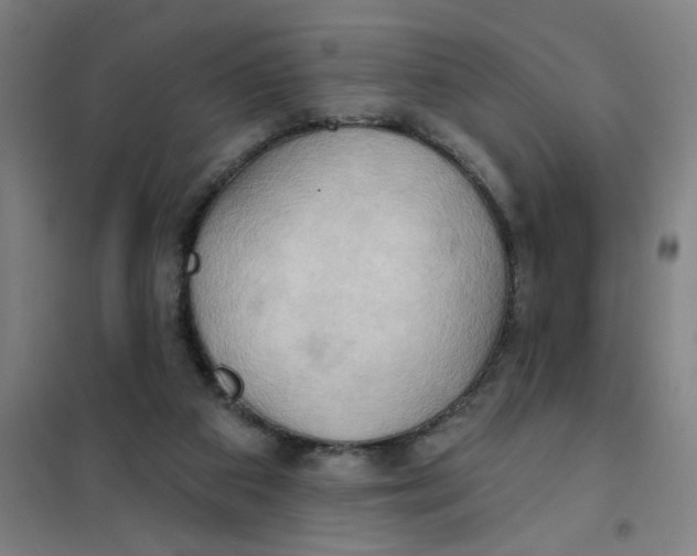 X0000101210113200807251057