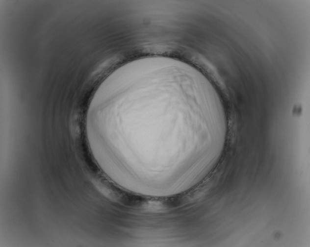 X0000101210114200807251057