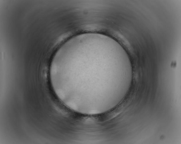 X0000101210115200807251057