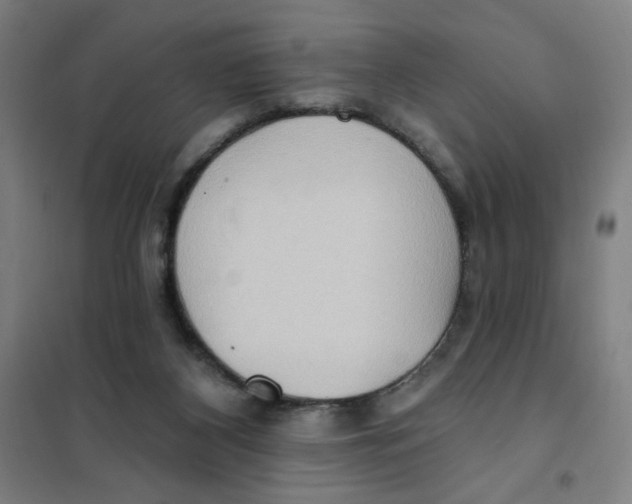 X0000101210116200807251057