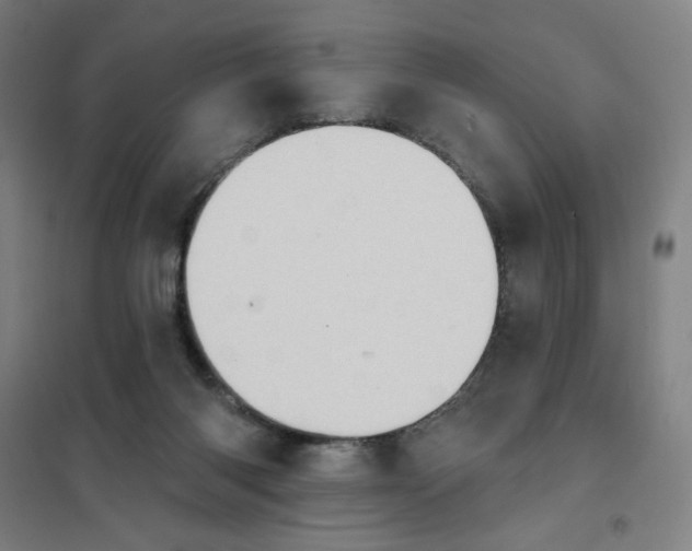 X0000101210118200807251057