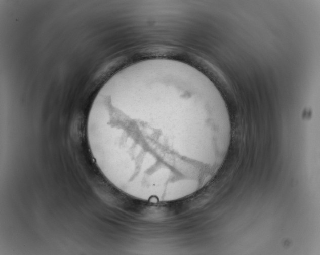 X0000101210119200807251057