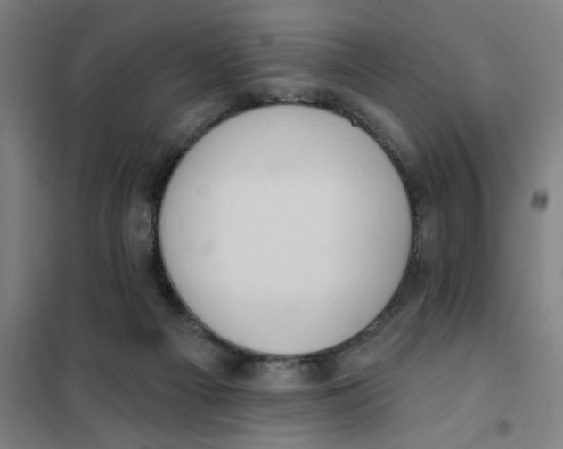 X0000101210121200807251057