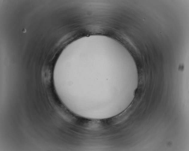 X0000101210124200807251057