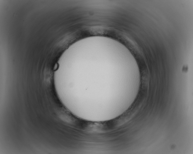 X0000101210125200807251057