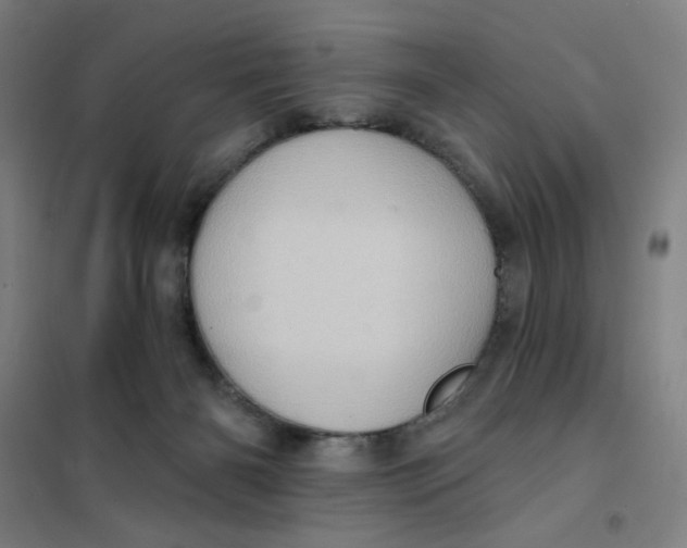 X0000101210126200807251057