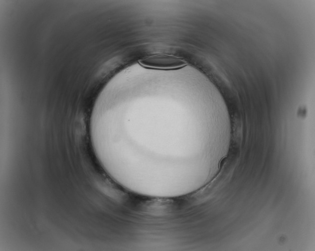 X0000101210128200807251057