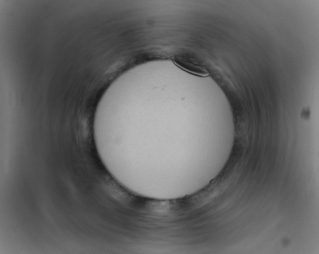 X0000101210131200807251057