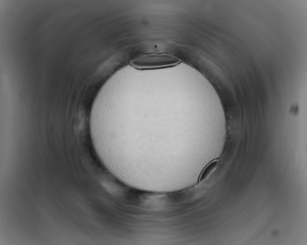 X0000101210132200807251057