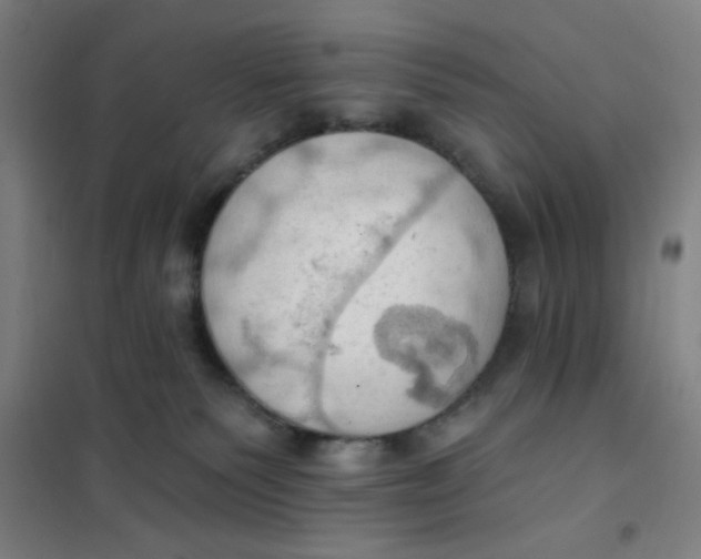 X0000101210135200807251057