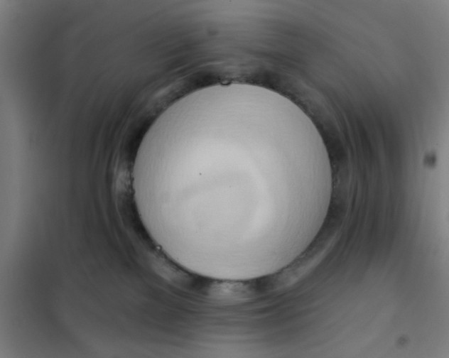 X0000101210137200807251057