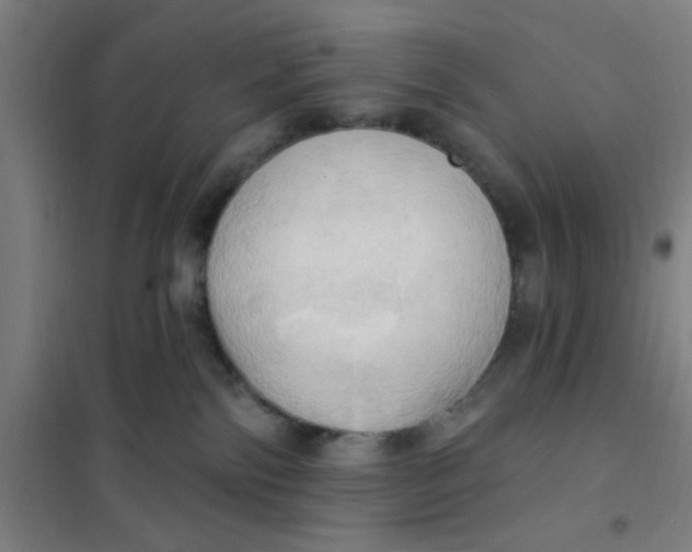 X0000101210138200807251057