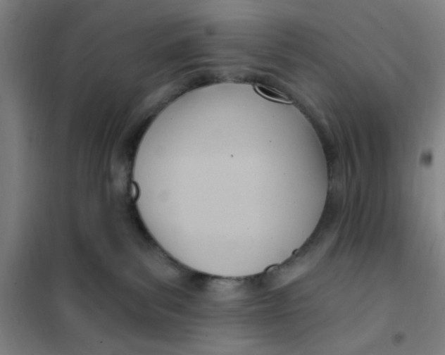 X0000101210139200807251057