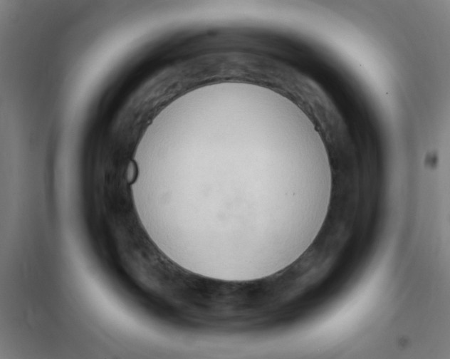 X0000101210142200807251057