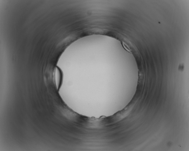 X0000101210143200807251057