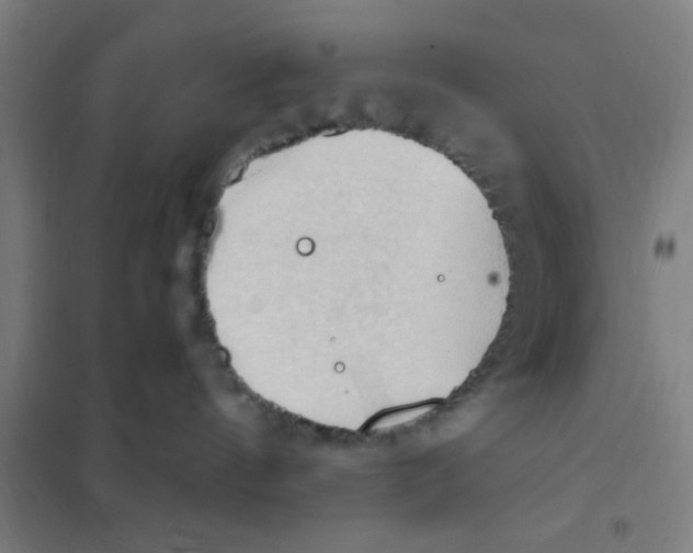 X0000101210144200807251057