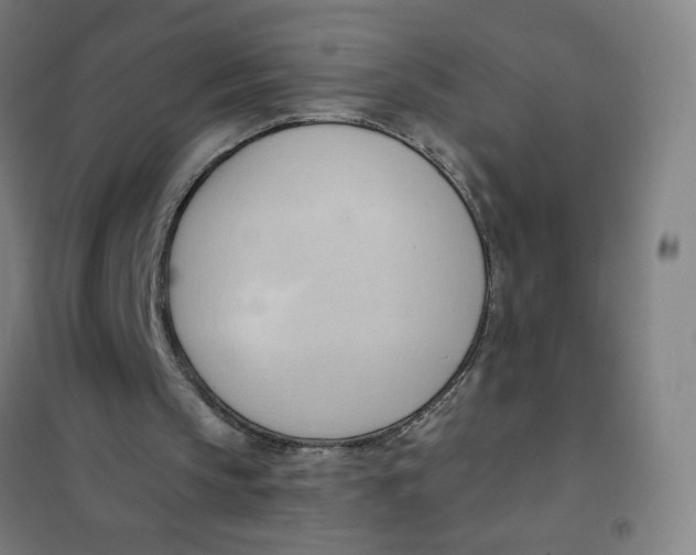 X0000101210145200807251056