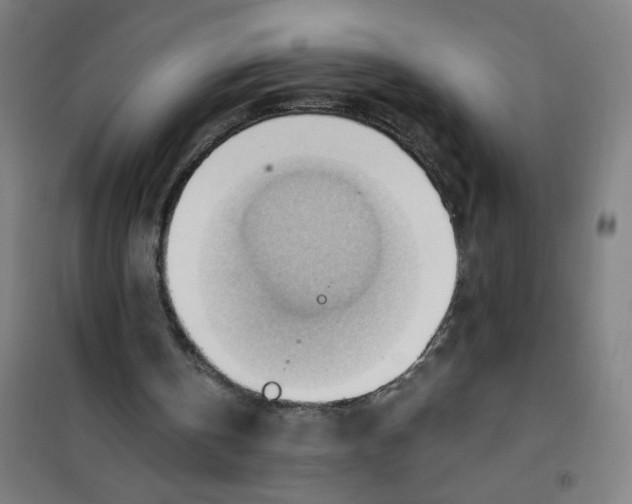 X0000101210146200807251056