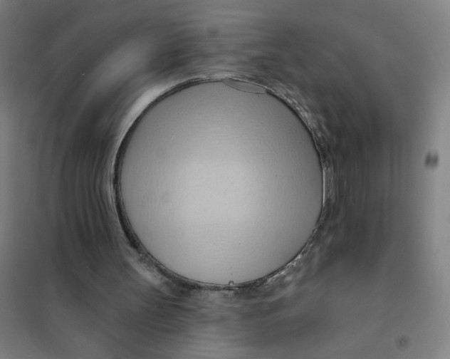 X0000101210147200807251056