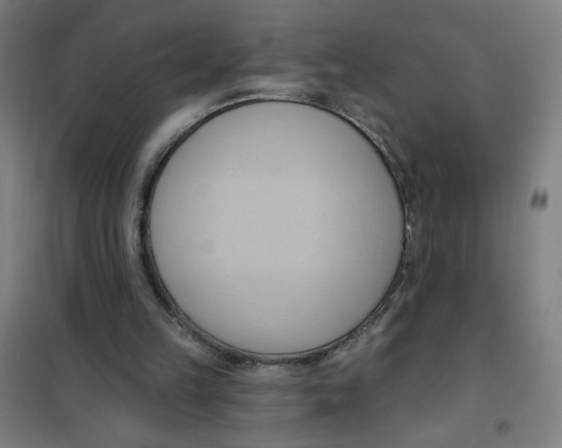 X0000101210149200807251056