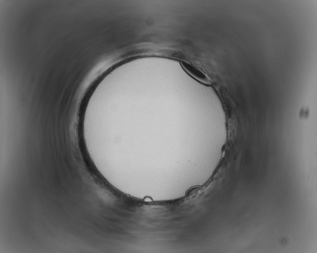 X0000101210150200807251056